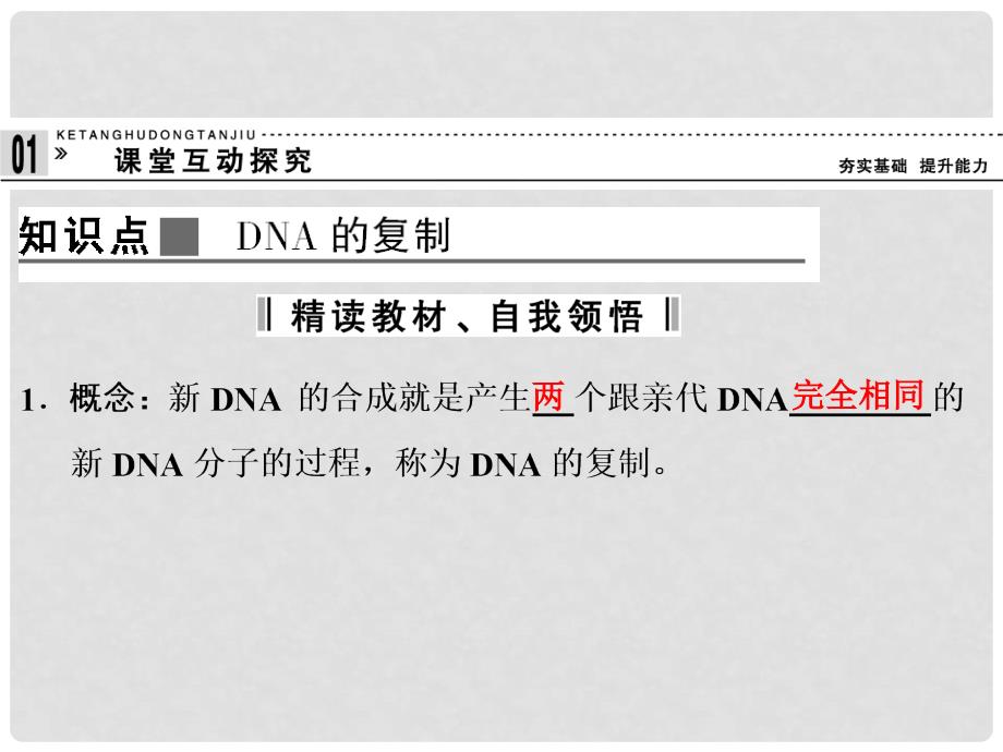 高中生物 3.3 遗传信息的传递课件 浙科版必修2_第4页