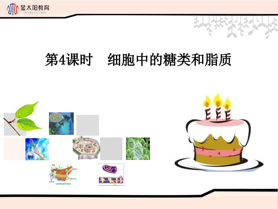 《细胞中的糖类和脂质》导学案课件_第1页