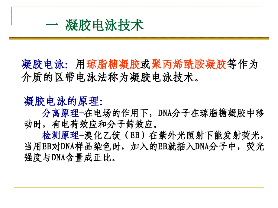 基因工程的常规技术_第2页