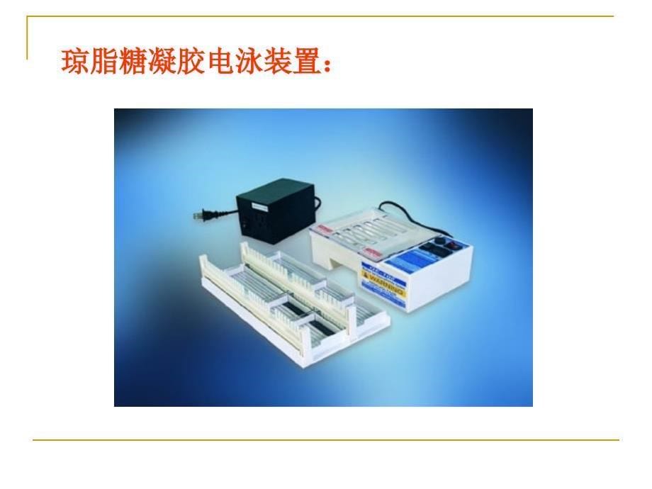 基因工程的常规技术_第5页