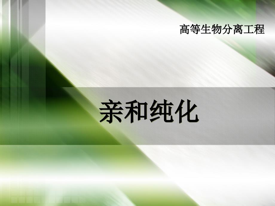 亲和纯化-高等生物分离工程讲座PPT课件_第1页