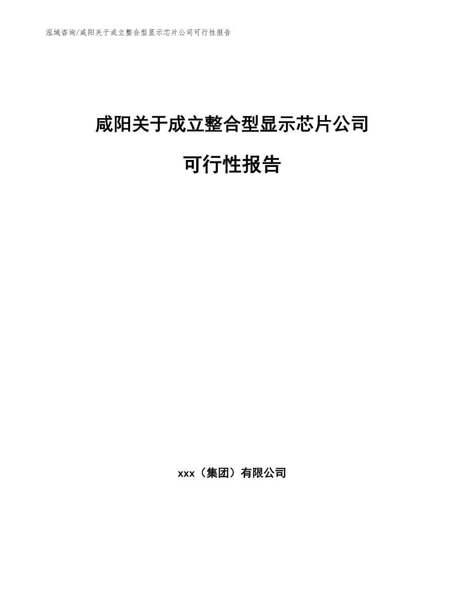 咸阳关于成立整合型显示芯片公司可行性报告【范文参考】_第1页