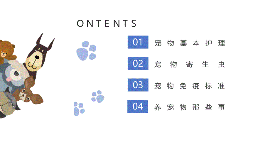 萌宠养护培训课件：宠物护理_第2页