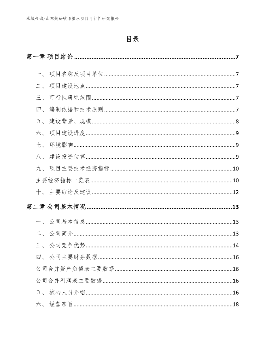 山东数码喷印墨水项目可行性研究报告_第1页