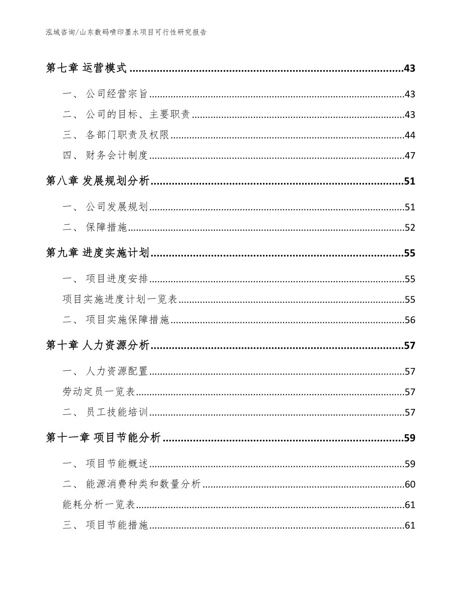 山东数码喷印墨水项目可行性研究报告_第3页