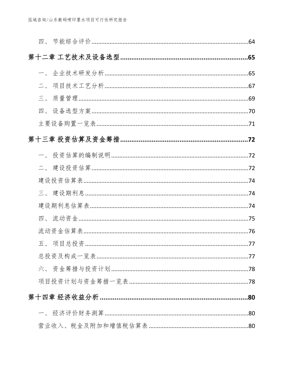 山东数码喷印墨水项目可行性研究报告_第4页