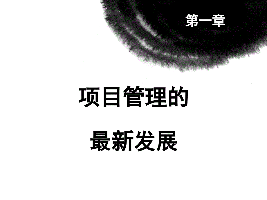 IPMP的项目管认证培训课件_第2页