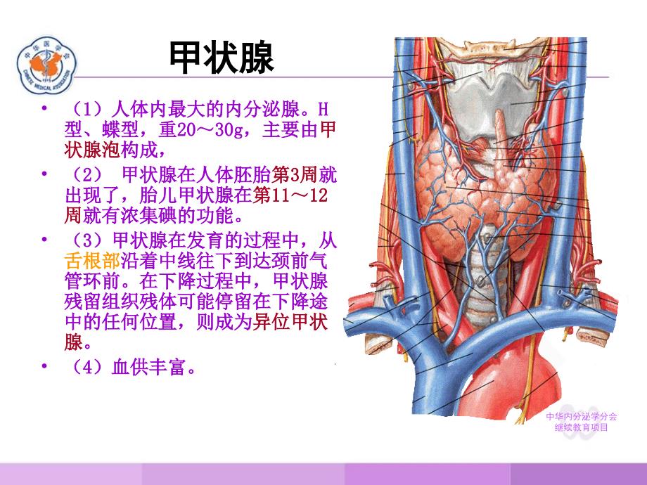 甲状腺疾病实验室检查_第2页