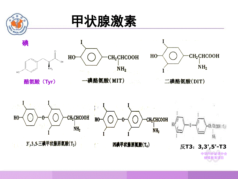 甲状腺疾病实验室检查_第3页