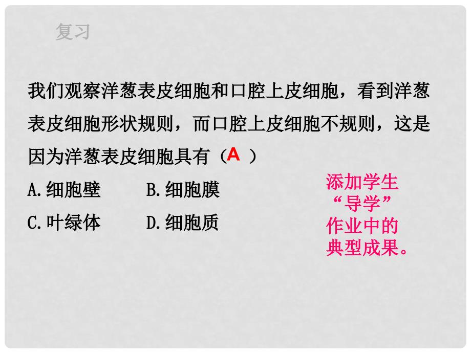 山东省惠民县七年级生物上册 1.2.2《细胞的分裂与分化》（第1课时）课件 （新版）济南版_第2页