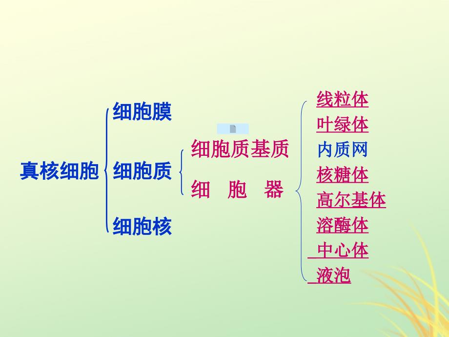 2019高中生物 专题3.2 细胞器&amp;mdash;&amp;mdash;细胞内的分工合作同步课件 新人教版必修1_第3页