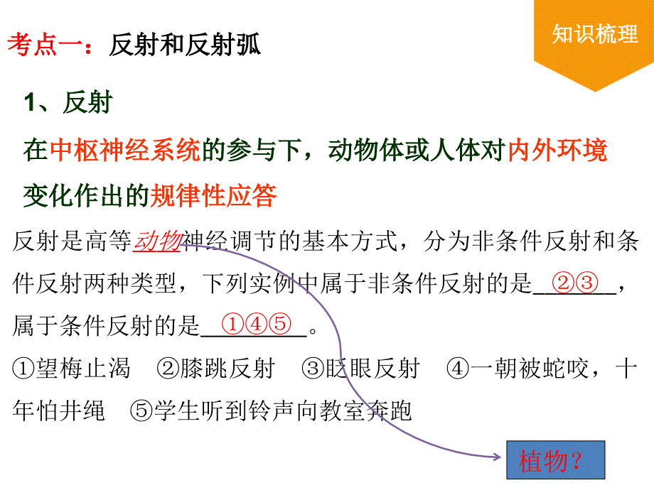 公开课通过神经系统的调节一轮复习ppt课件_第3页