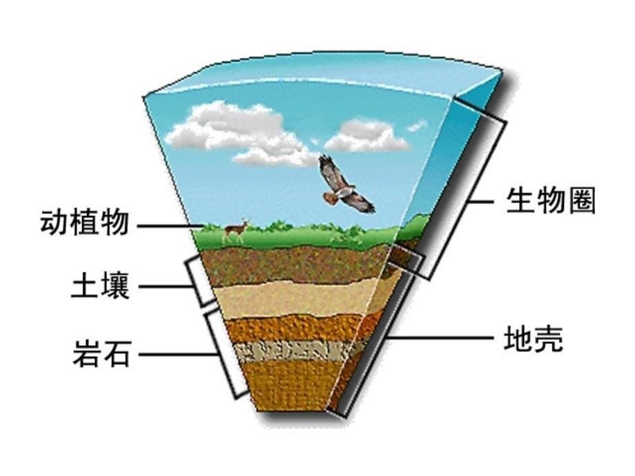 内蒙古阿鲁科尔沁旗天山第六中学七年级生物上册 生物圈课件 新人教版_第5页