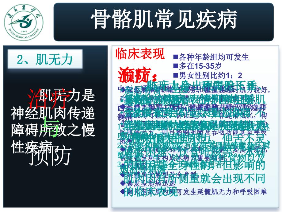 学生自主设计系统解剖实验(骨骼肌)_第4页