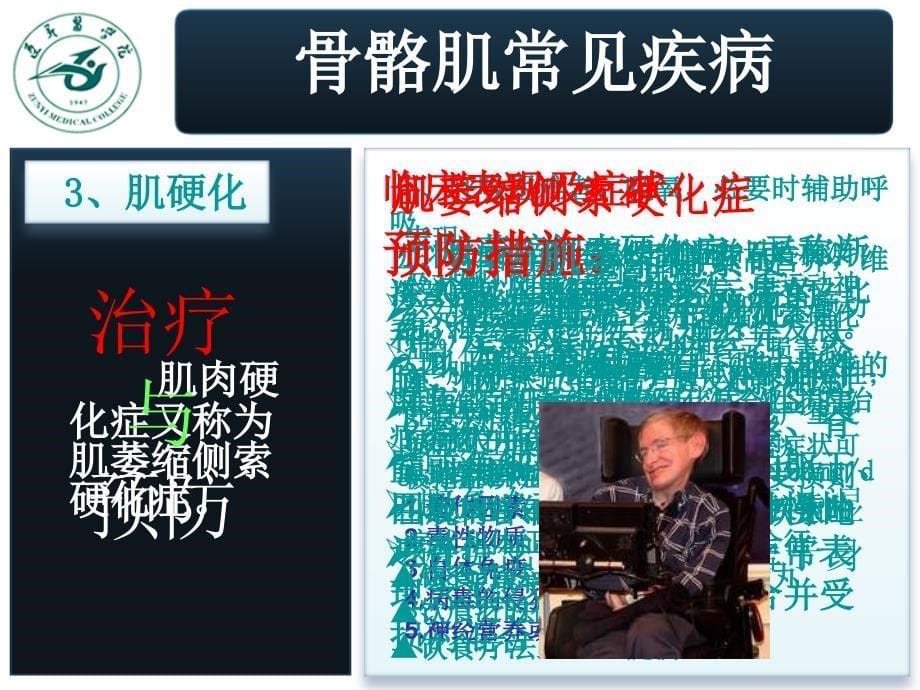 学生自主设计系统解剖实验(骨骼肌)_第5页