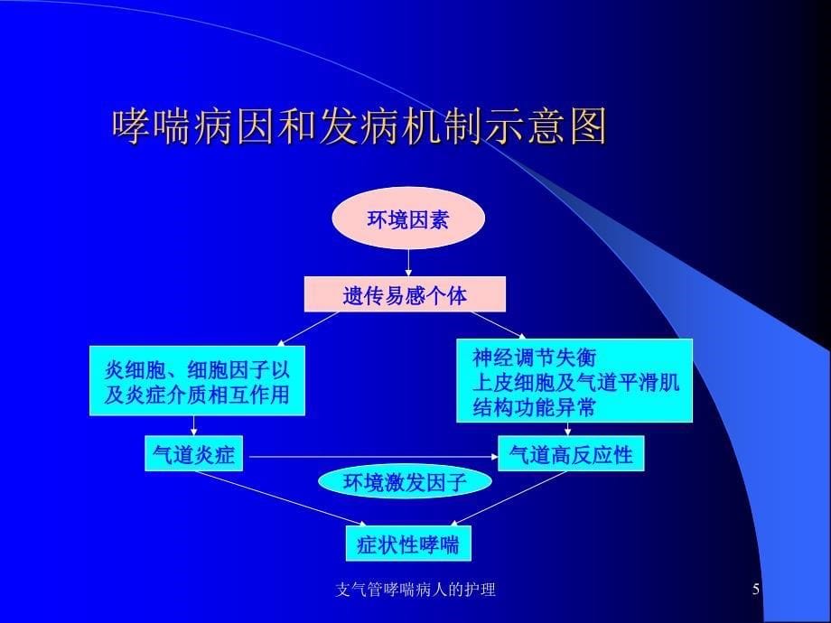 支气管哮喘病人的护理课件_第5页