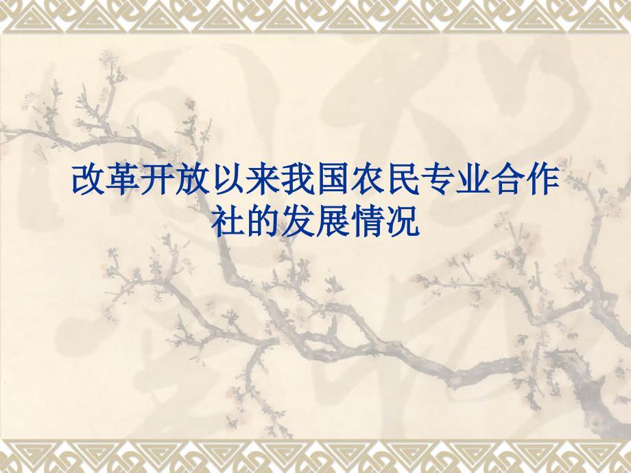 改革开放以来我国农民专业合作社的发展情况.ppt