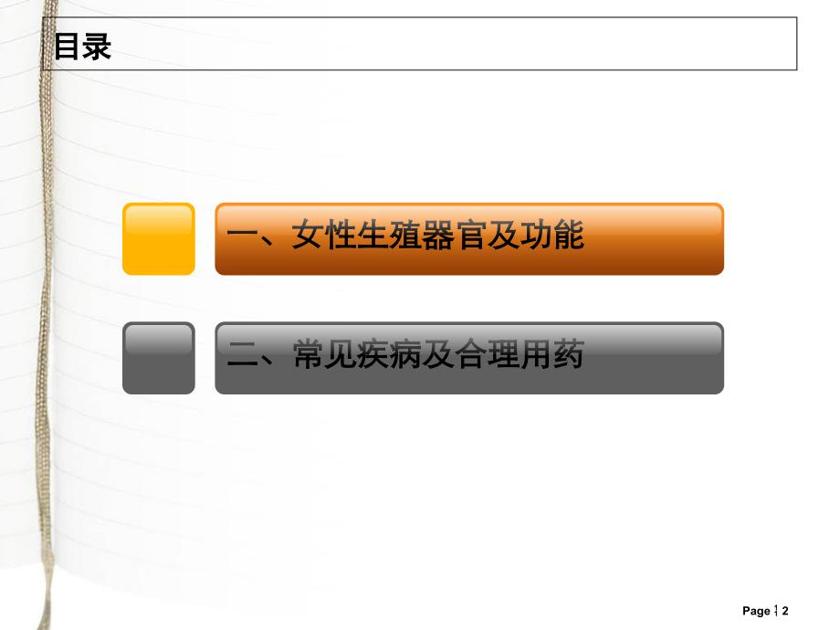 妇科常见疾病及合理用药ppt课件_第2页