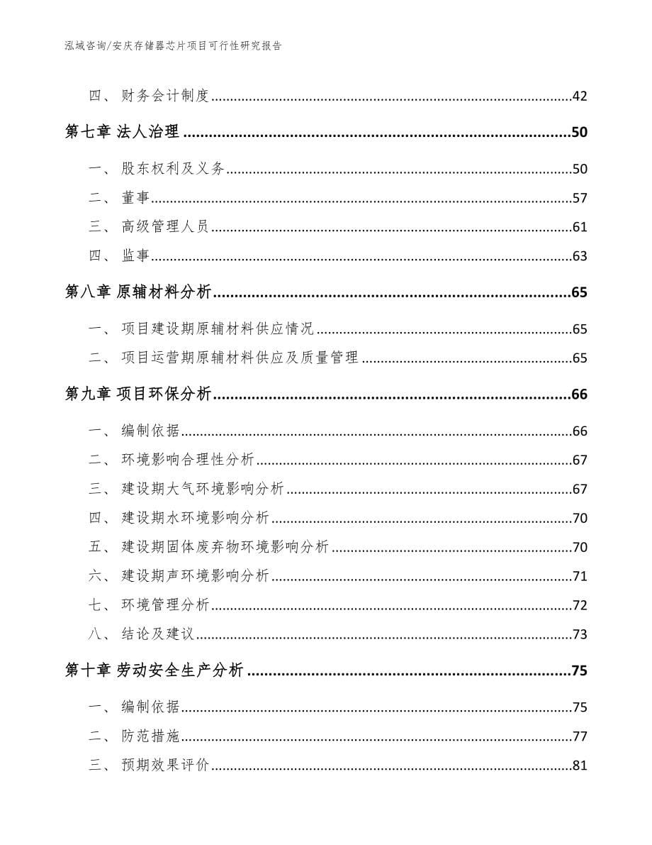 安庆存储器芯片项目可行性研究报告_第5页