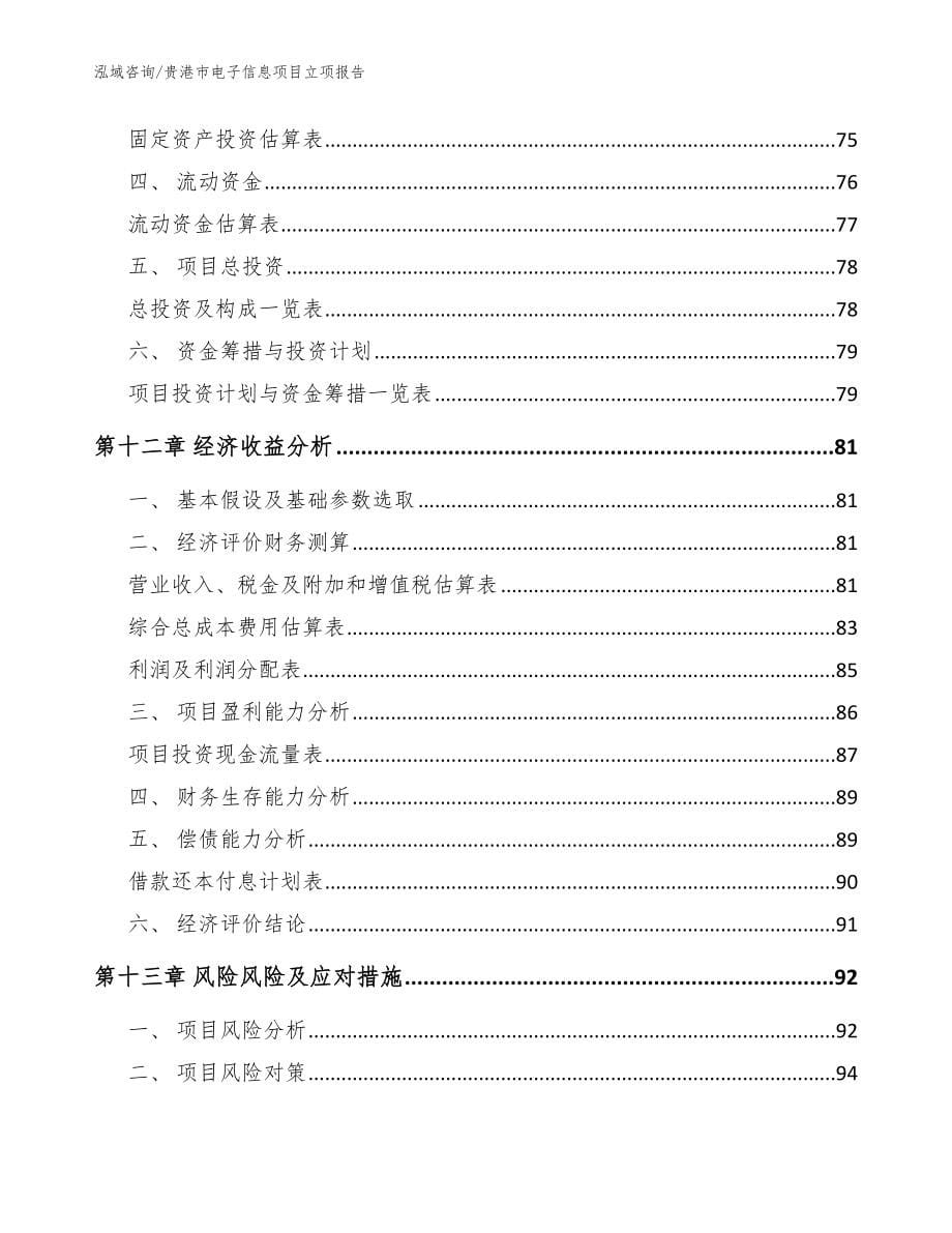 贵港市电子信息项目立项报告_第5页