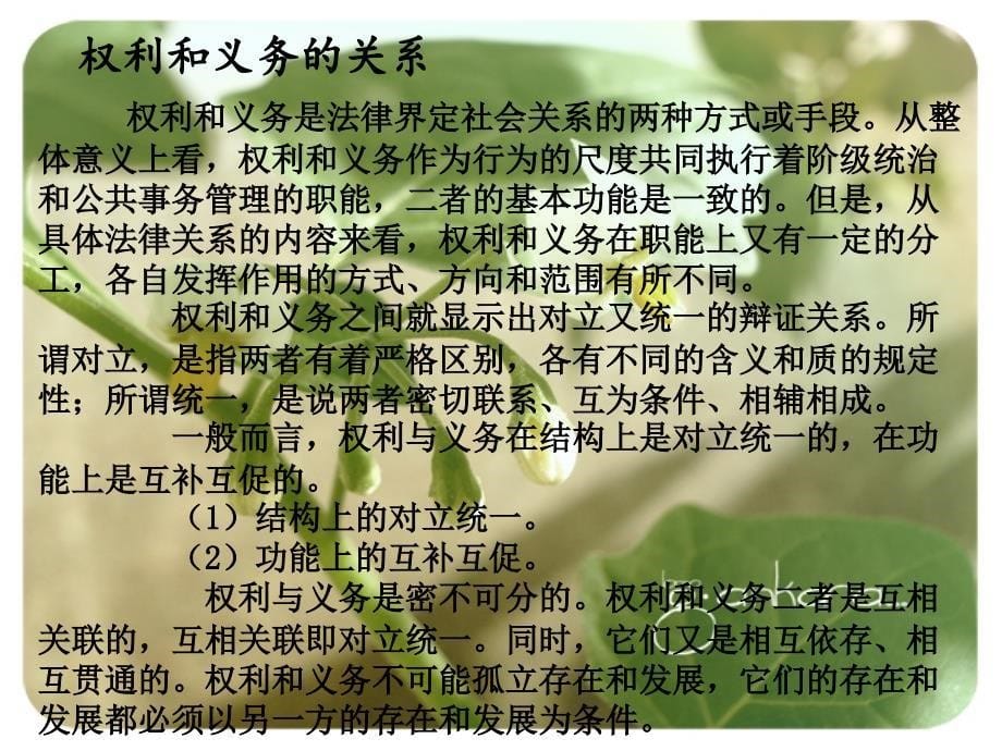 案例分析-公民的基本权利和义务_第5页