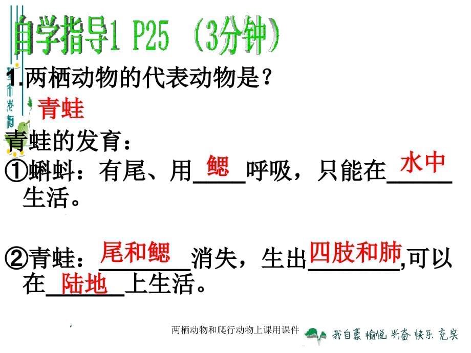 两栖动物和爬行动物上课用课件_第5页