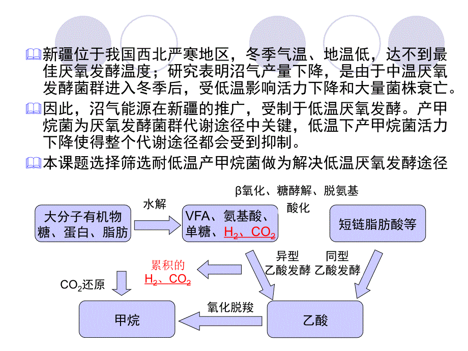 低温产甲烷菌分离鉴定及发酵产气初步研究-硕士论文答辩课件_第4页