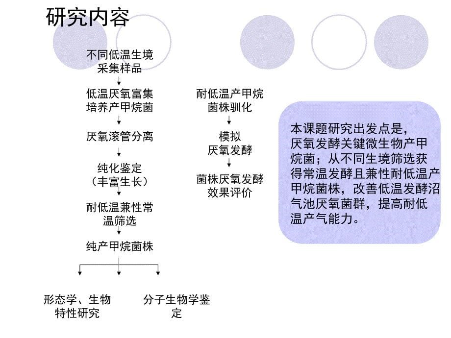 低温产甲烷菌分离鉴定及发酵产气初步研究-硕士论文答辩课件_第5页