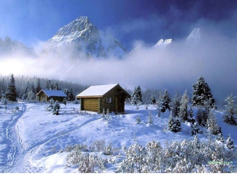 部编版一年级语文上册--12《雪地里的小画家》课件1_第1页