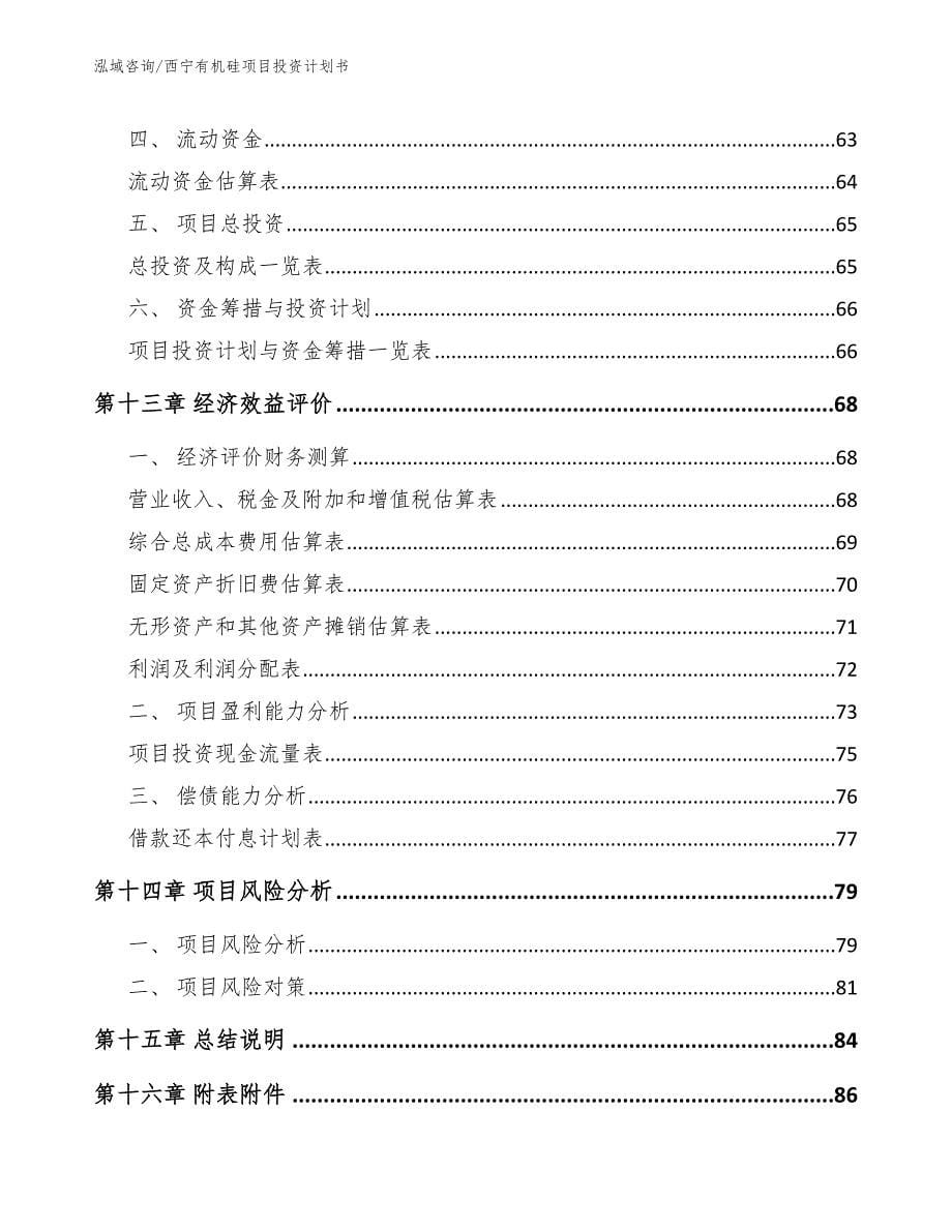 西宁有机硅项目投资计划书【参考范文】_第5页