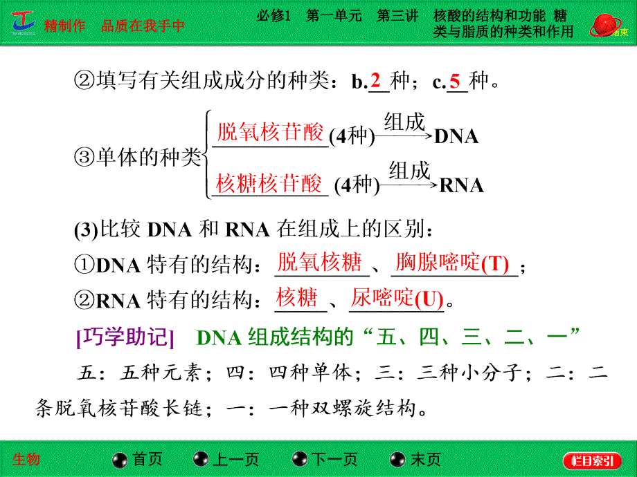 必修1第一单元第三讲核酸的结构和功能糖类与脂质的种类和作用_第2页