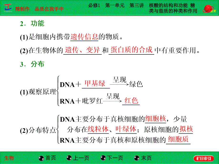 必修1第一单元第三讲核酸的结构和功能糖类与脂质的种类和作用_第3页