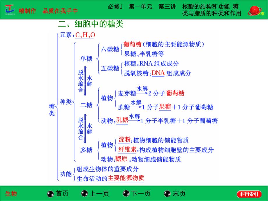 必修1第一单元第三讲核酸的结构和功能糖类与脂质的种类和作用_第4页