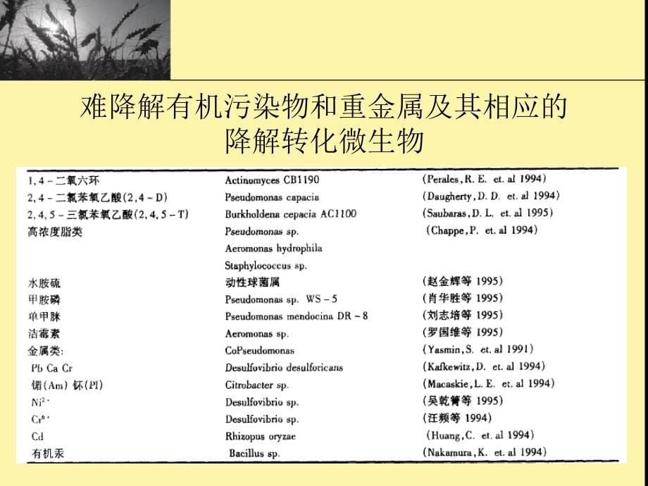 番茄花园生物修复技术作用机理及其运用_第5页