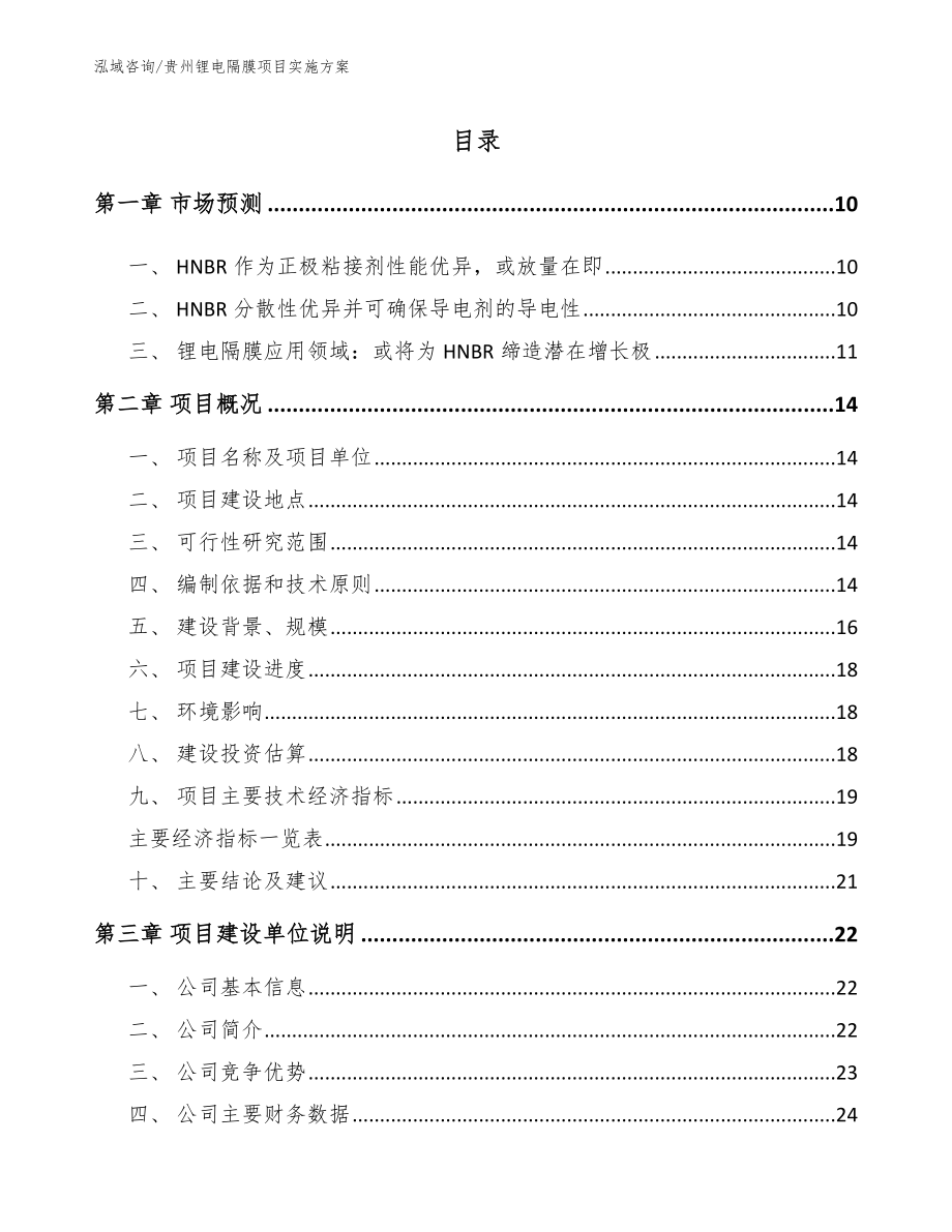 贵州锂电隔膜项目实施方案（范文）_第2页