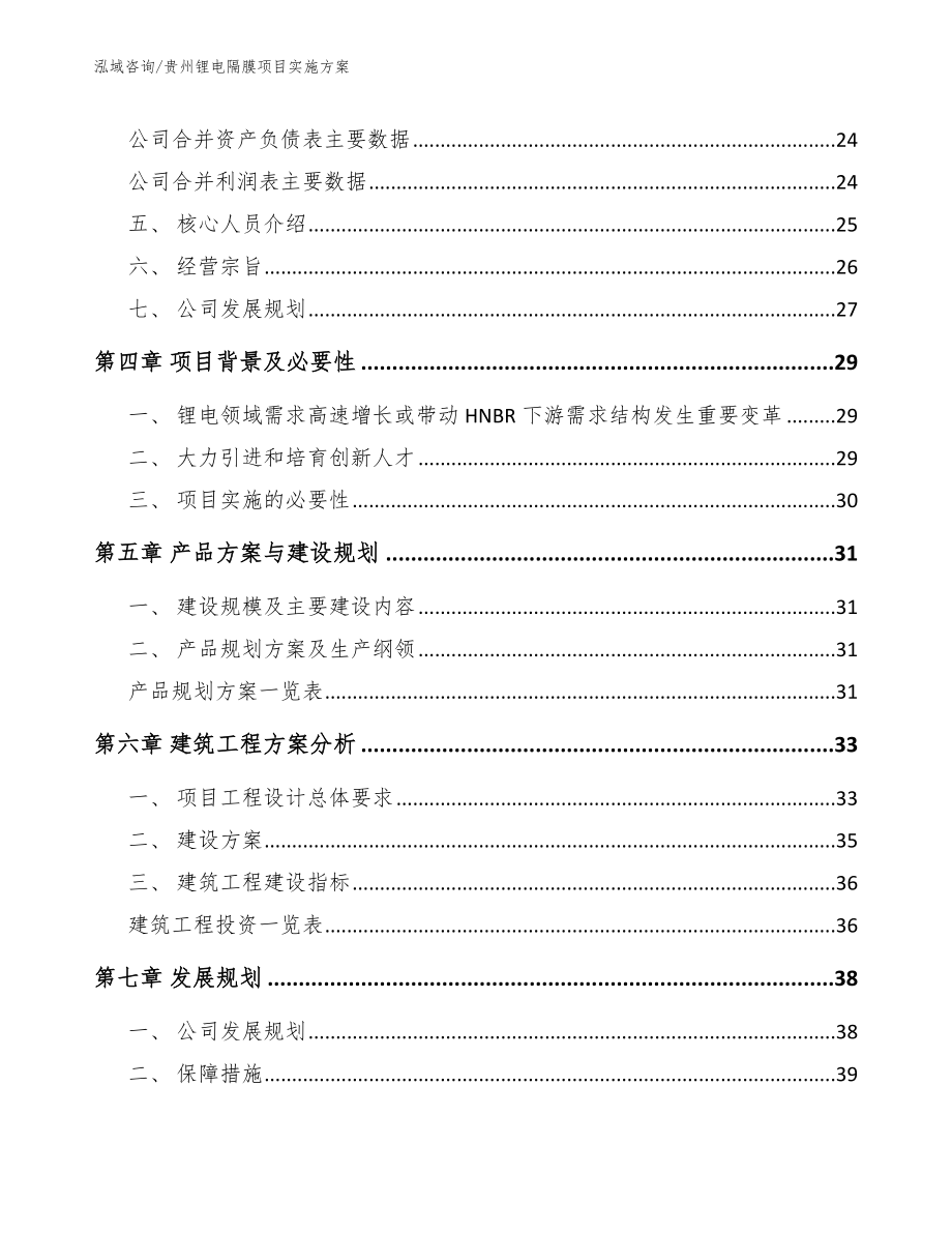 贵州锂电隔膜项目实施方案（范文）_第3页