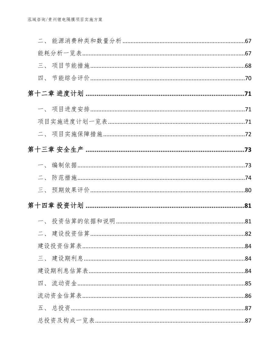 贵州锂电隔膜项目实施方案（范文）_第5页