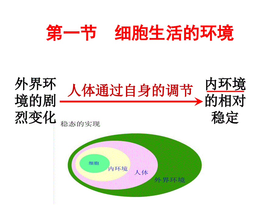 细胞生活的环境-ppt课件_第4页