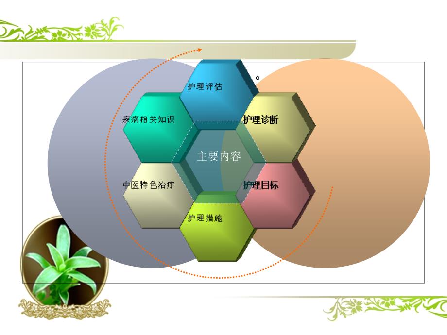 斜视护理查房课件_第3页