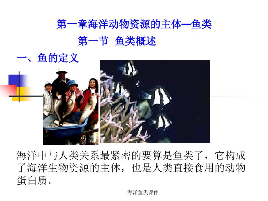 海洋鱼类课件_第1页