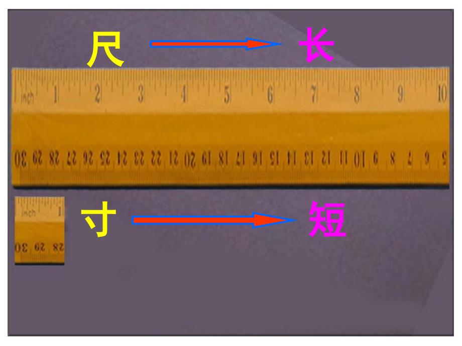 尺有所短寸有所长公开课_第1页