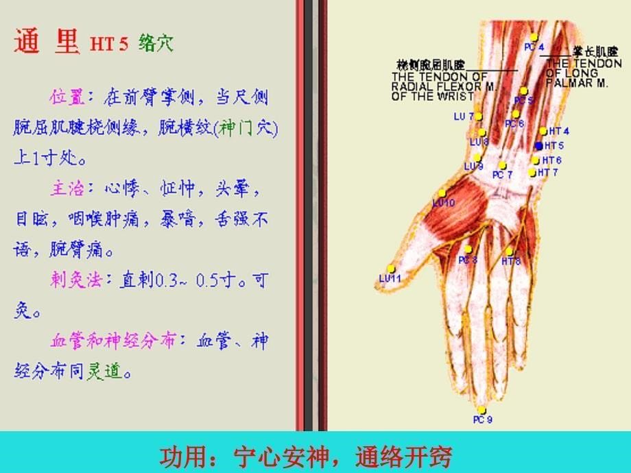 五、手少阴心经-该经经脉循行所联络的脏腑器官有心、小肠、肺讲解_第5页