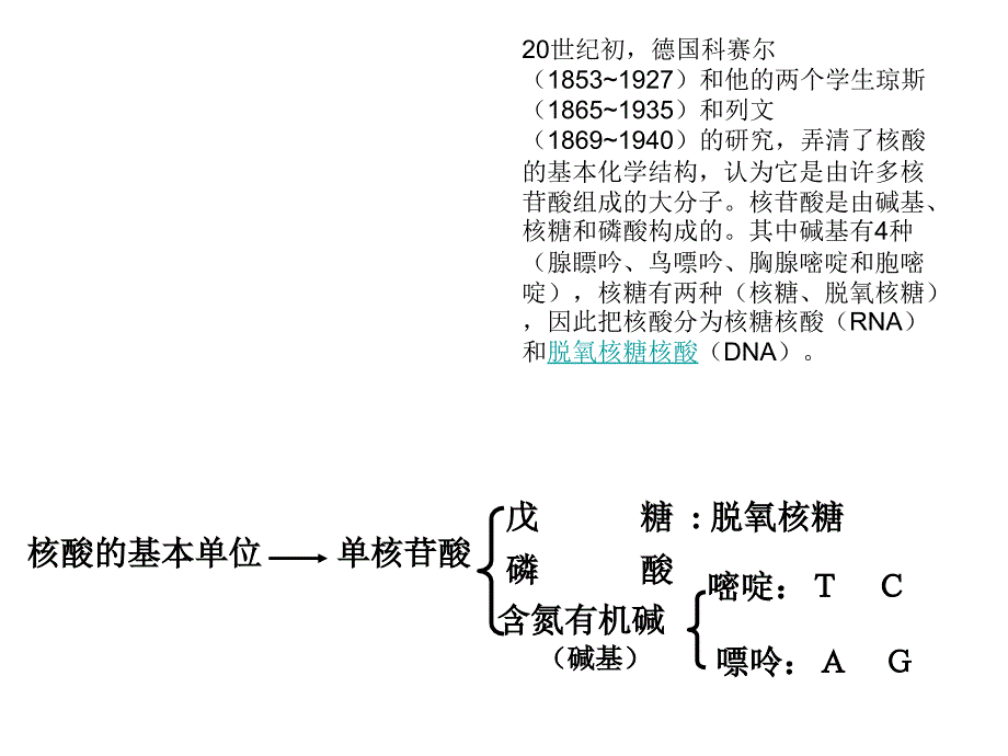 深圳大学理科选修遗传学发现课件5遗传物质DNA_第3页