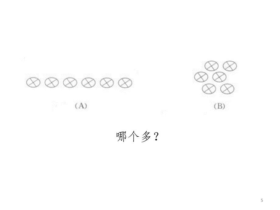 幼儿心理发展的一般特征PPT精品文档_第5页