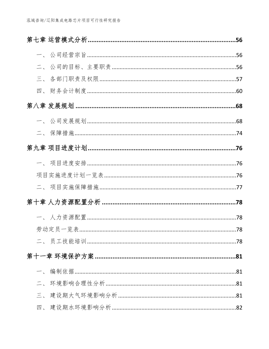 辽阳集成电路芯片项目可行性研究报告_第3页