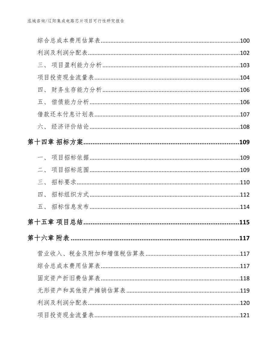 辽阳集成电路芯片项目可行性研究报告_第5页