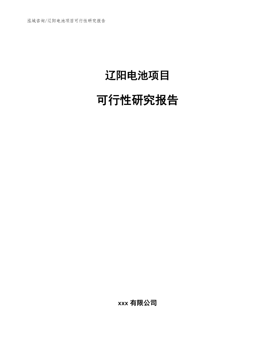 辽阳电池项目可行性研究报告_第1页