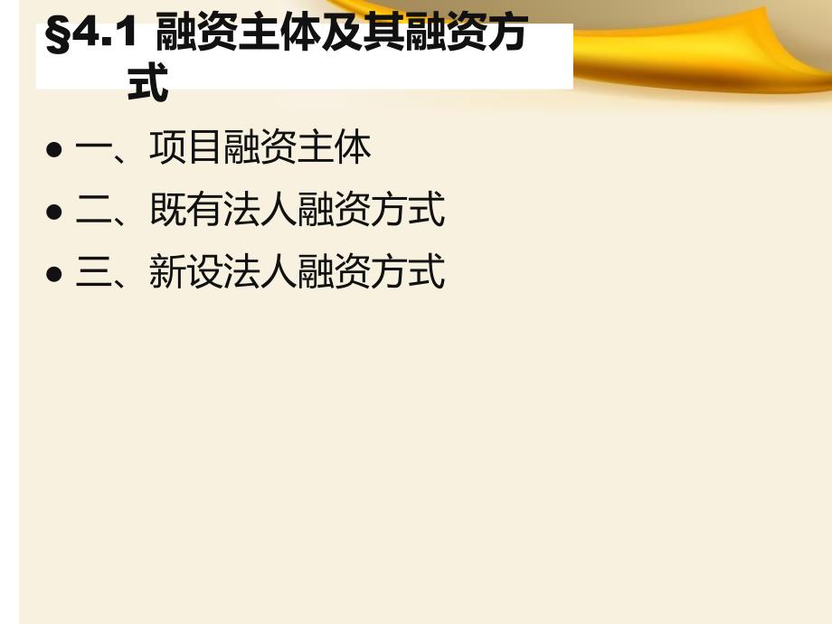 工程项目资金来源与融资方案_第3页