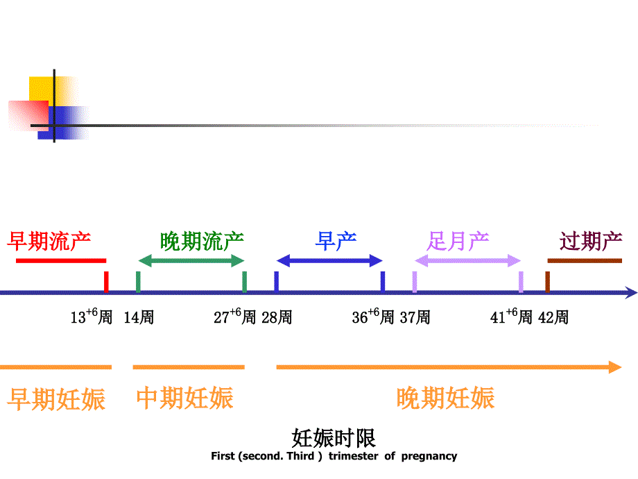 妇产科课件正常分娩_第3页