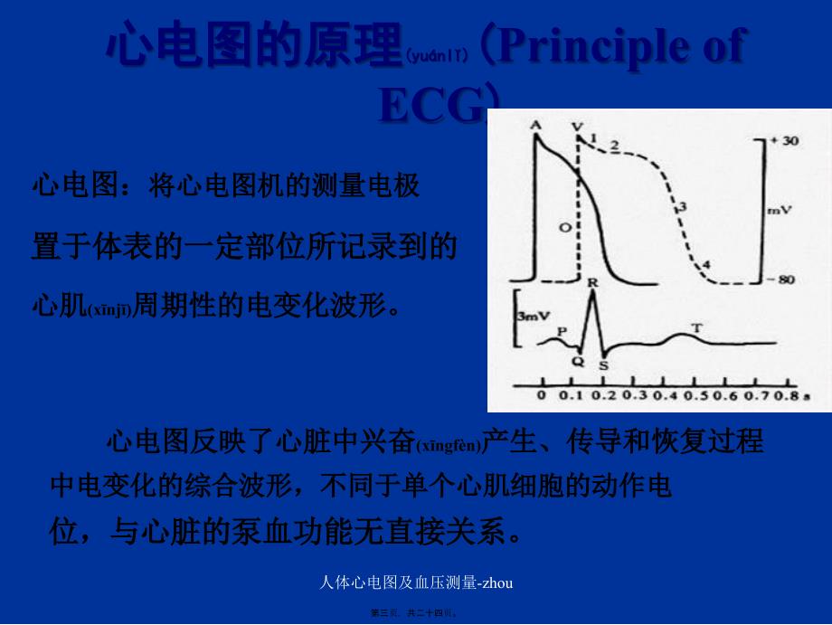 人体心电图及血压测量-zhou课件_第3页